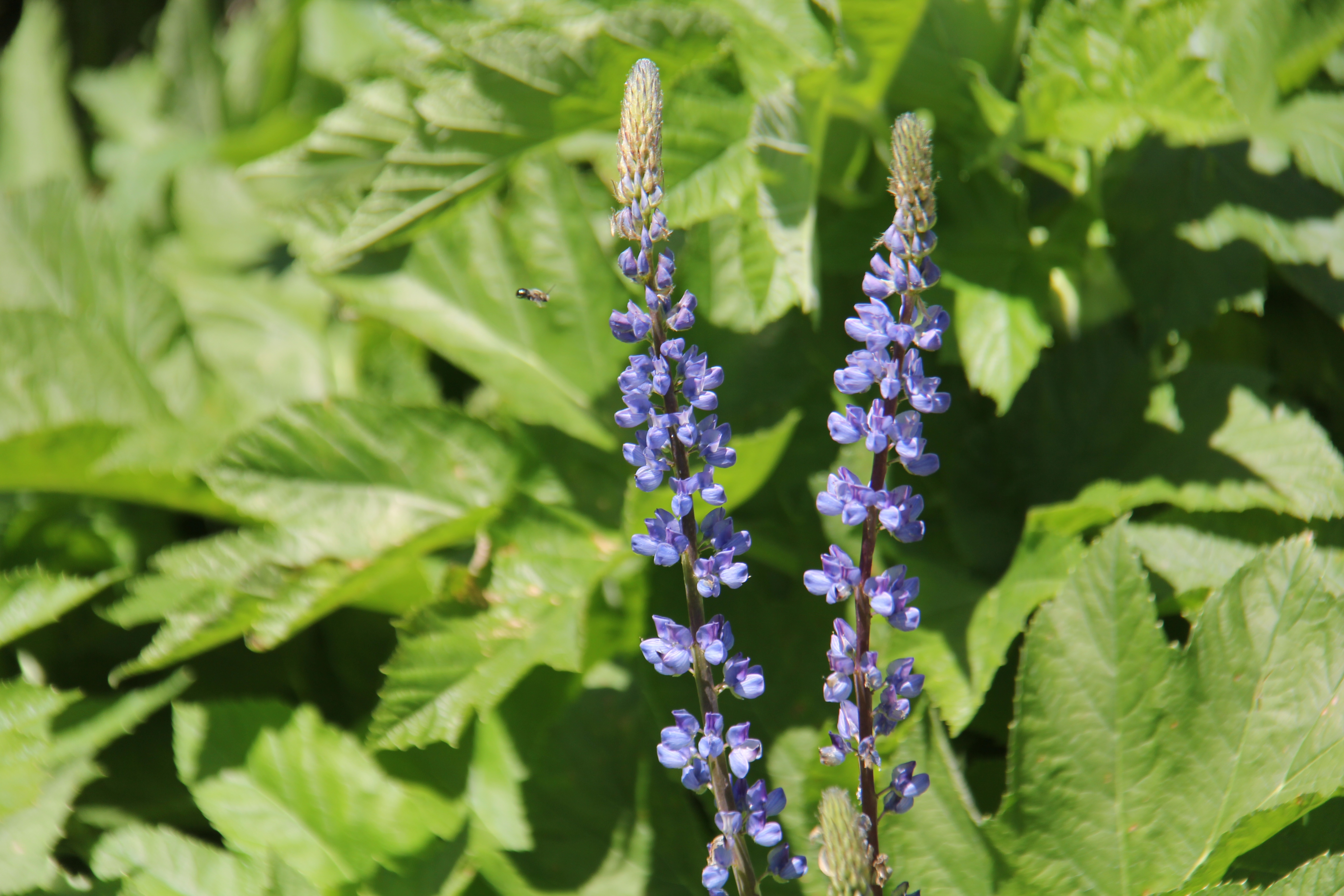 Photography 11