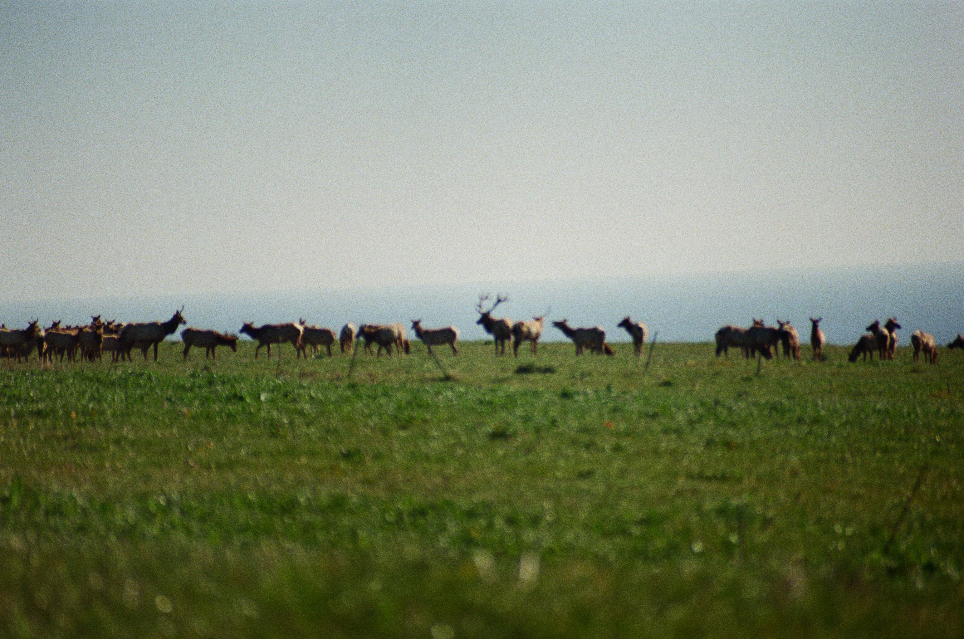 Photography 6